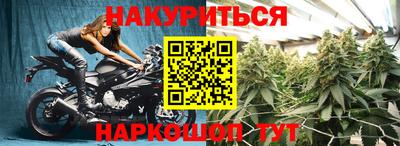 гидра Новокубанск