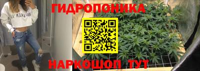 гидра Новокубанск
