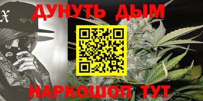 мяу мяу мука Новозыбков