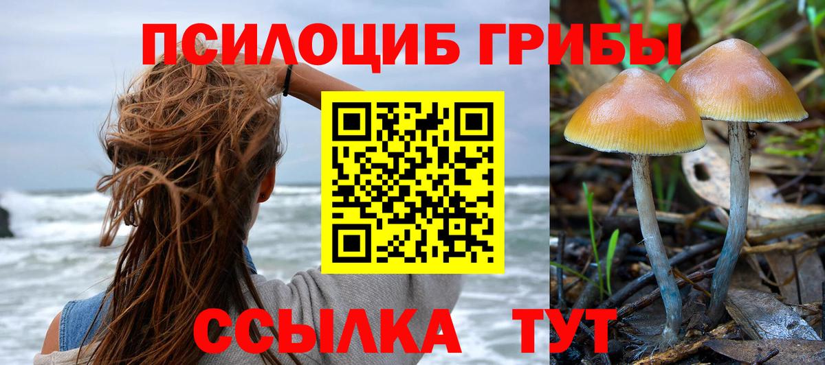 Галлюциногенные грибы мухоморы Сыктывкар
